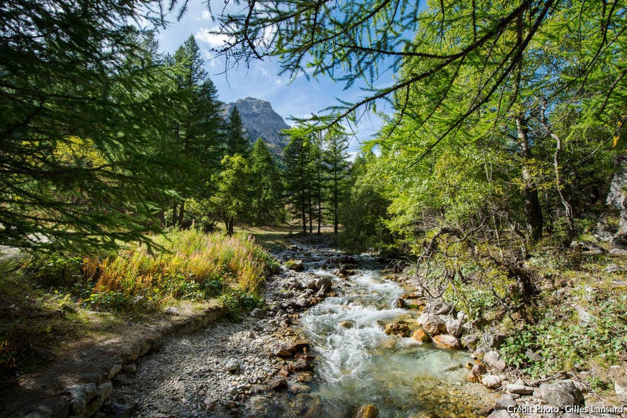 Névache, arroyo en el Valle Angosto (Altos Alpes)