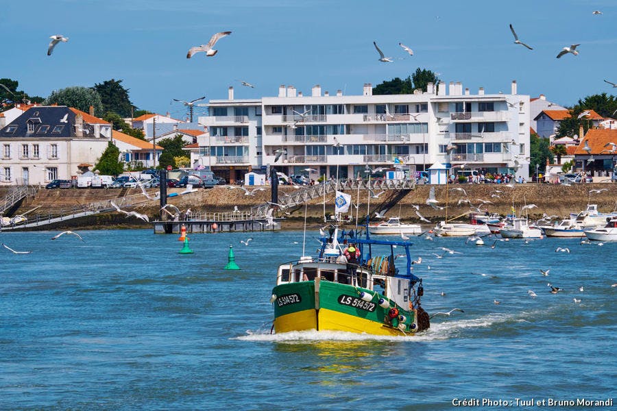 Saint-Gilles-Croix-de-Vie, regreso de los barcos sardineros (Vendée) 