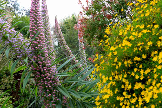Roscoff jardines exóticos Bretaña