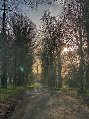 Un largo camino de entrada, bordeado de árboles en el campo, al final un alto campanario de la Cartuja de Neuville