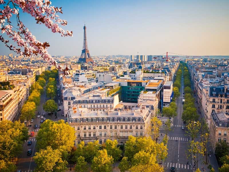 Torre Eiffel, foto tomada desde una azotea que muestra las avenidas arboladas a su alrededor.