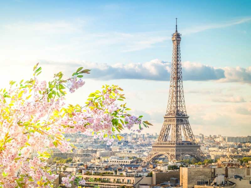 Torre Eiffel en primavera, cielo soleado y flor de cerezo 