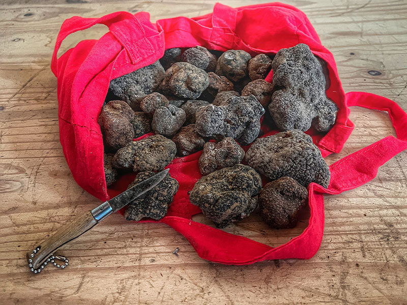 Bag full of black truffles - one of the winter flavours of Provence