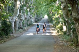 Rutas ciclistas de larga distancia en Provenza
